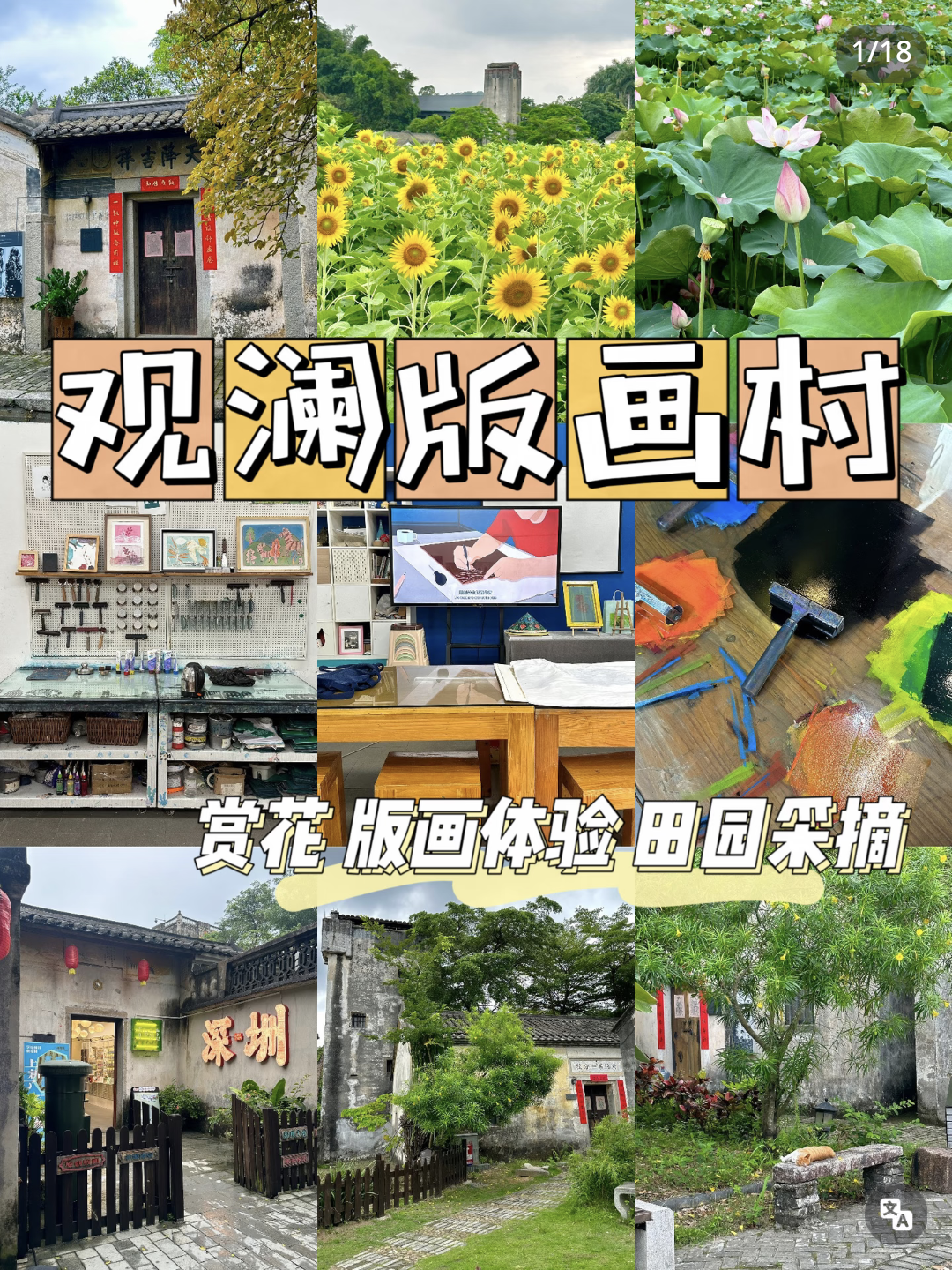 小紅書實拍：觀瀾版畫村向日葵與荷花