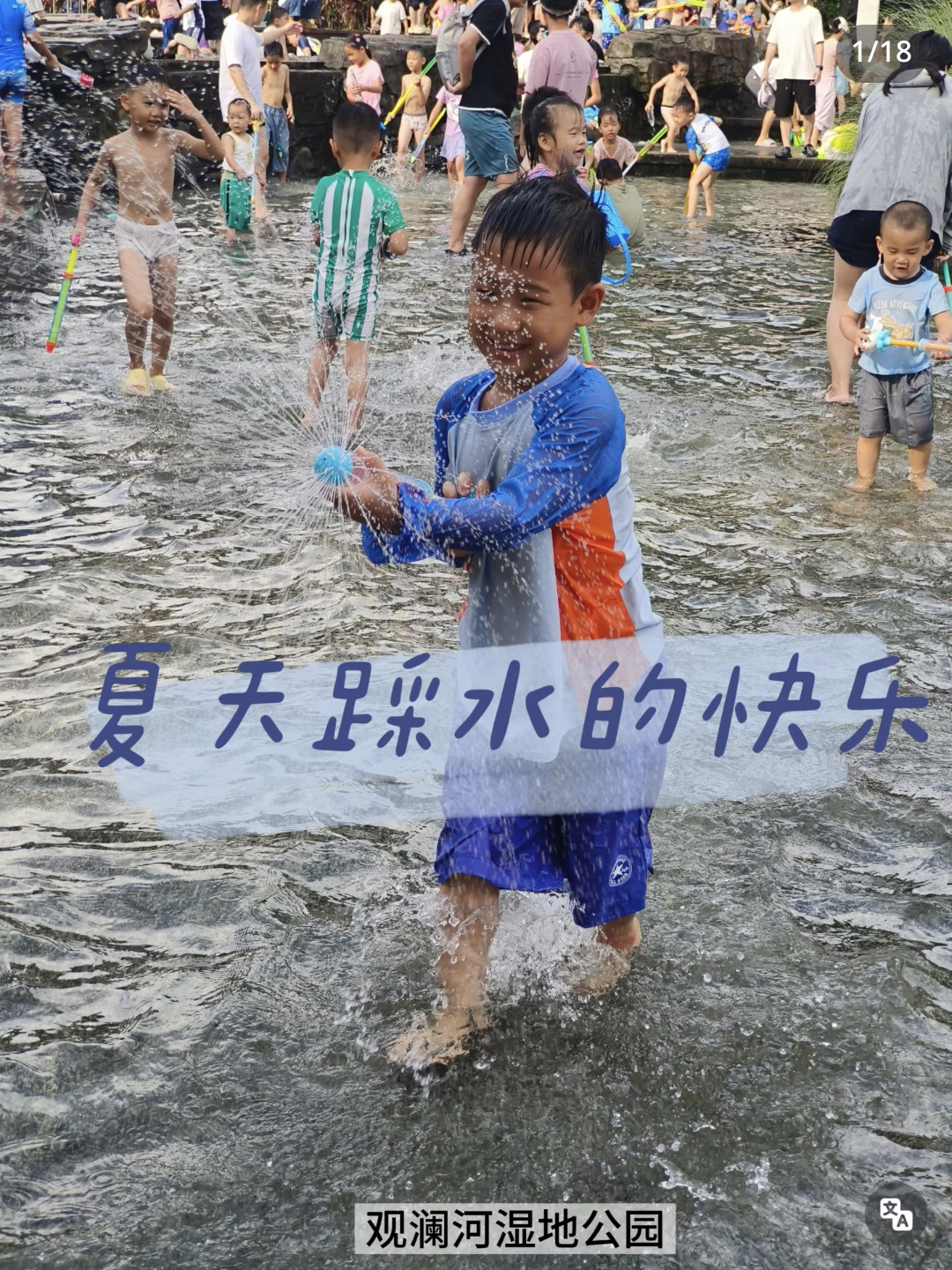 小紅書實拍：觀瀾河濕地公園河道與花田