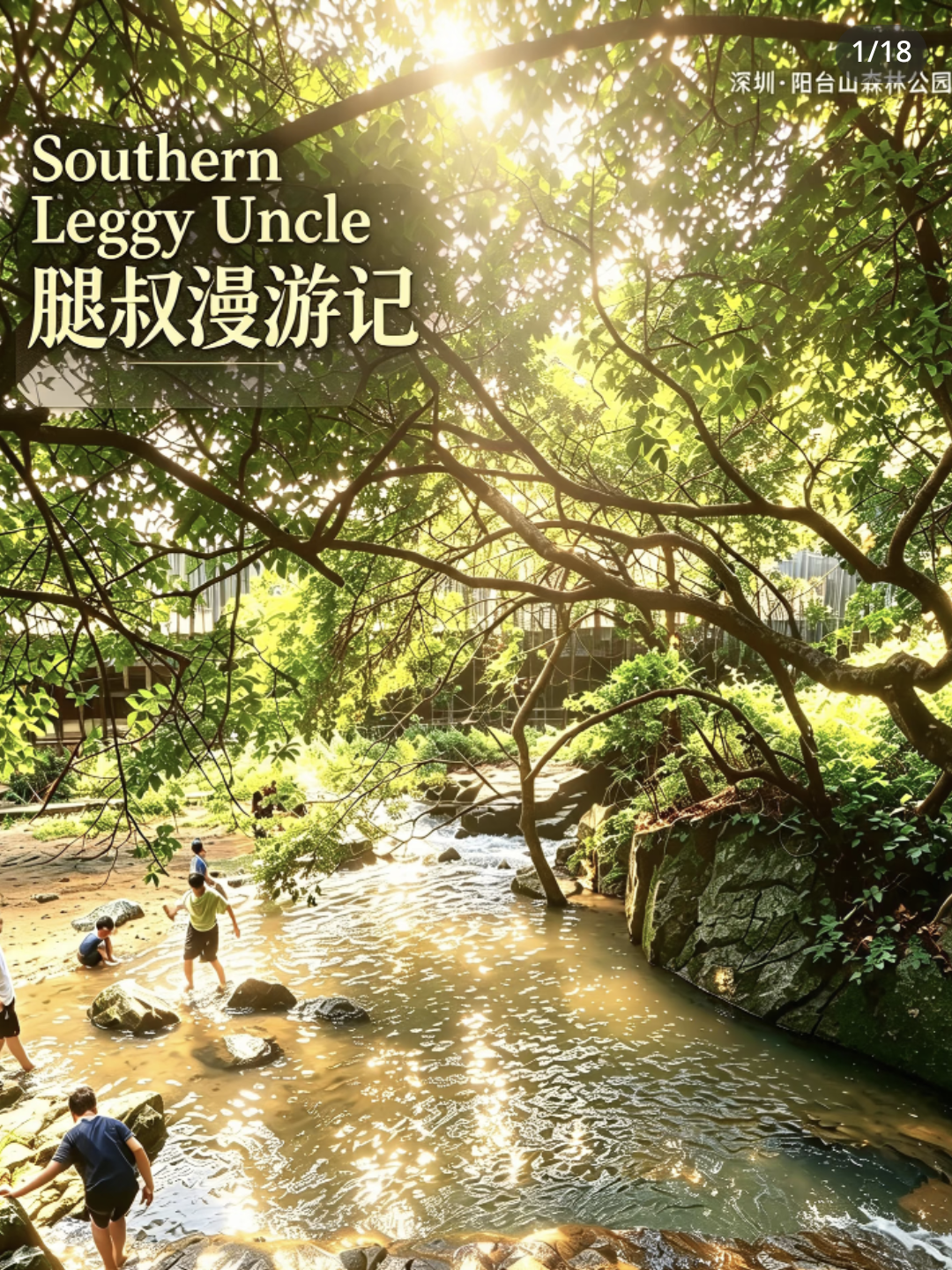小紅書實拍：陽台山森林公園溪流／玩水段